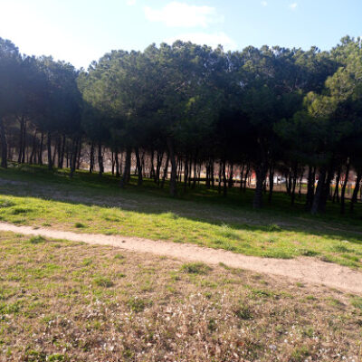 SWS Parc Street Workout i Calistènia Sabadell Barcelona