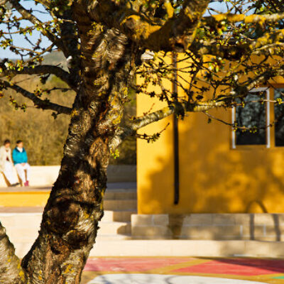 Escuela de Yoga Integral Mahashakti Ujué Navarra