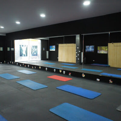 Gimnasio Calabozo León León