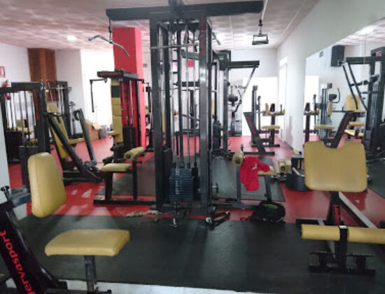 Gym tiger 10 Málaga