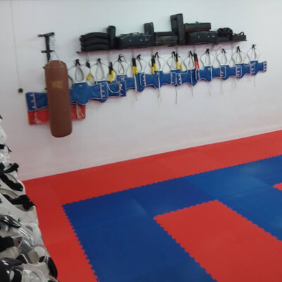 Gimnasio TKD SANSA Sant Sadurní d’Anoia Barcelona