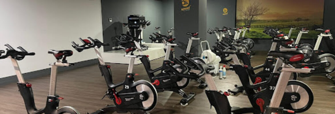 Synergym Estepona Málaga