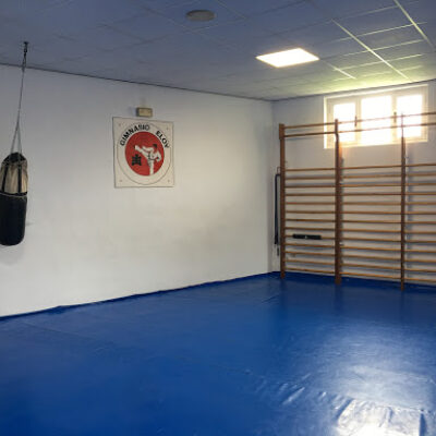 Gimnasio Eloy Pola de Siero Asturias