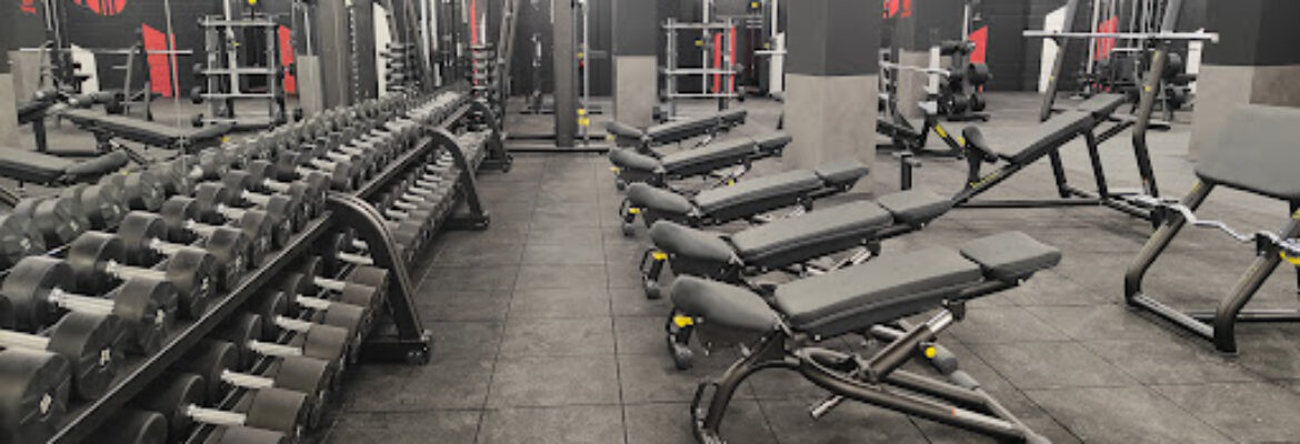 Synergym Ribera Logroño La Rioja