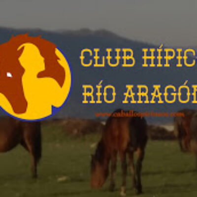 Caballos Pirineos – CLUB HÍPICO RÍO ARAGÓN Santa Cilia (Jaca) HUESCA Huesca