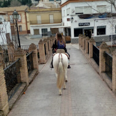 Paseos a Caballo Centro Ecuestre EL PORTILLO Colomera Granada