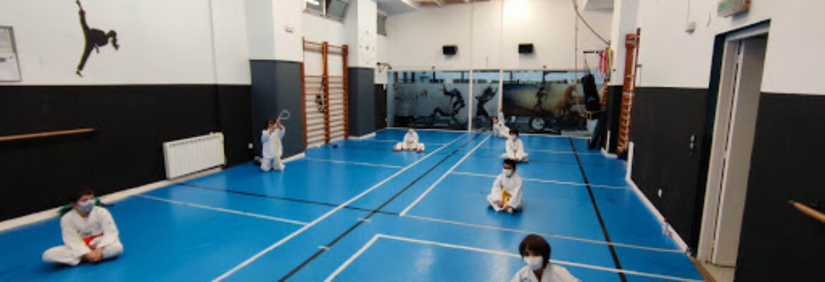 Gimnasio Junbi Taisho Pamplona Navarra