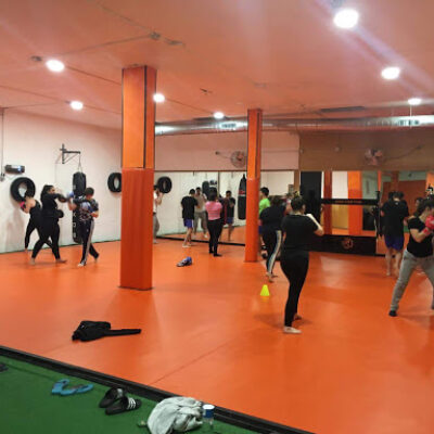 LION FIGHTERS MMA – Artes Marciales Mixtas, Boxeo, Kick boxing, Grappling, Defensa personal Cornellà de Llobregat Barcelona