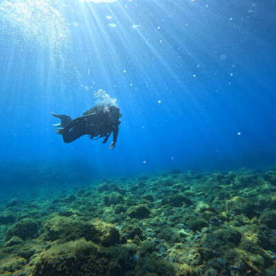 Buceo Isla Bonita La Las Indias Santa Cruz de Tenerife