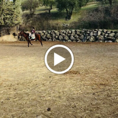 Paseos a Caballo Centro Ecuestre EL PORTILLO Colomera Granada