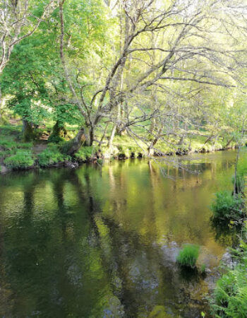 A Veiga leisure area Muras Lugo